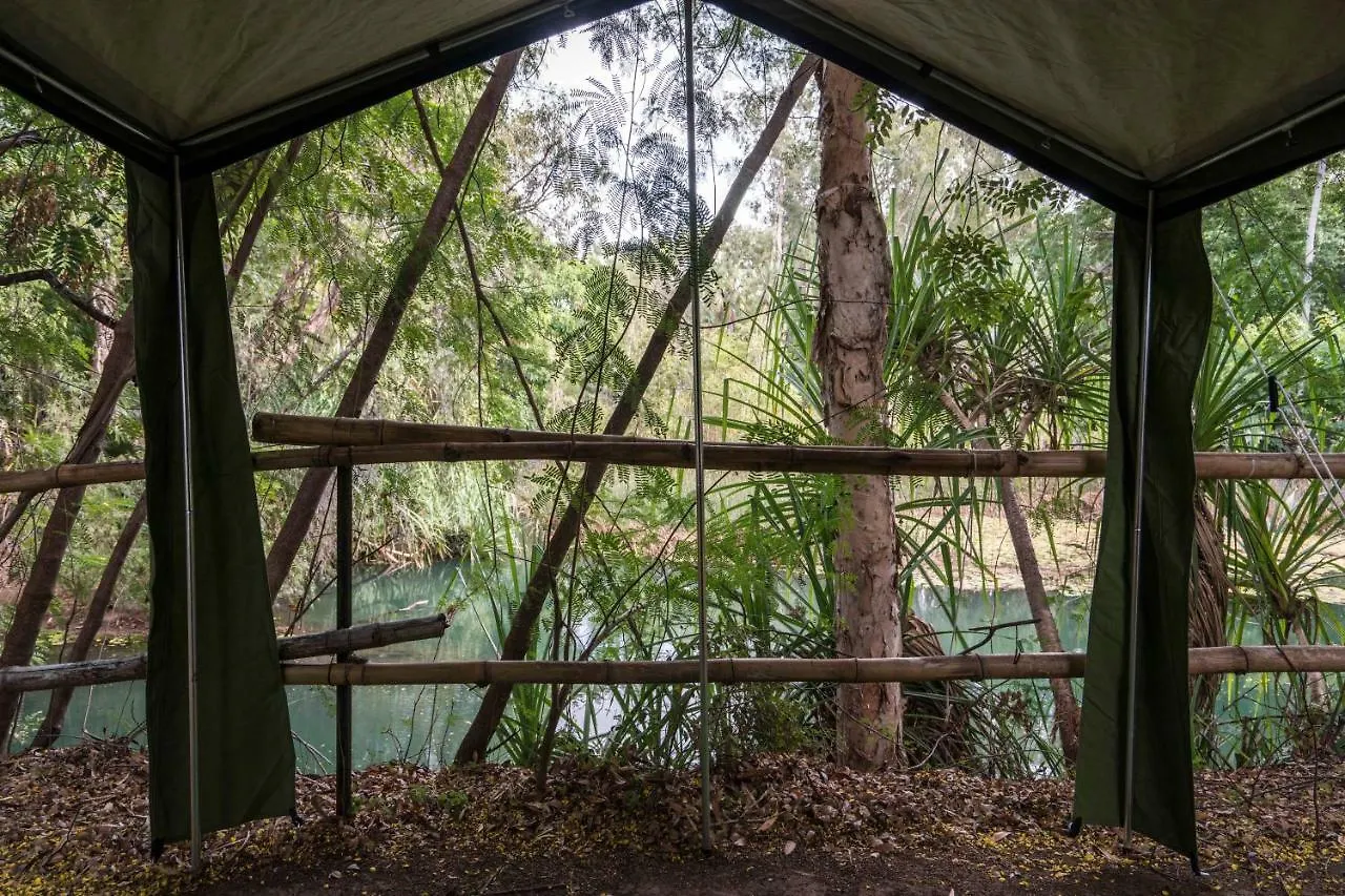 Adels Grove Camping Park Lawn Hill Campsite