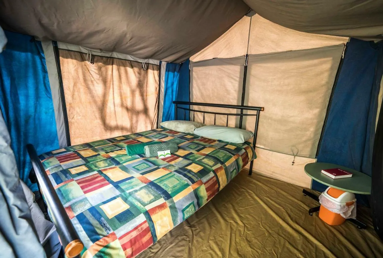 Adels Grove Camping Park Lawn Hill