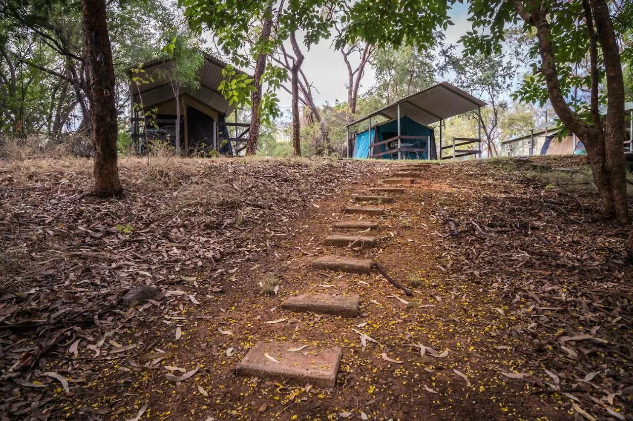 Adels Grove Camping Park Lawn Hill